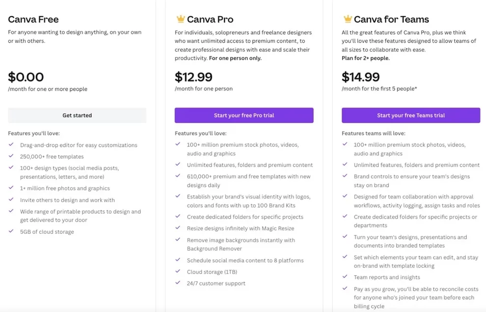 Professional Canva Presentation -  Canva Pro features