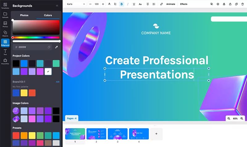 create professional presentation